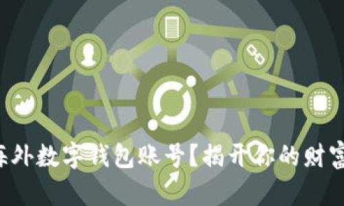想拥有海外数字钱包账号？揭开你的财富新天地！