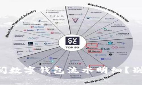 如何轻松查阅数字钱包流水明细？别让钱“失踪”！