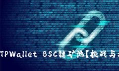 如何选择最适合你的TPWallet BSC链矿池？挑战与机
