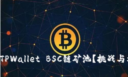 如何选择最适合你的TPWallet BSC链矿池？挑战与机遇并存的投资之路！