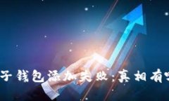 数字钱包子钱包添加失败：真相有哪些挑战？