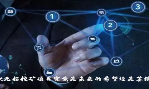 TPWallet无损挖矿项目究竟是未来的希望还是萎缩的泡沫？