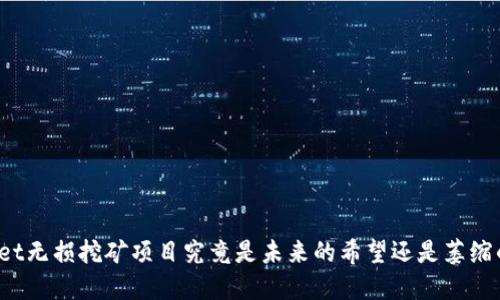 TPWallet无损挖矿项目究竟是未来的希望还是萎缩的泡沫？