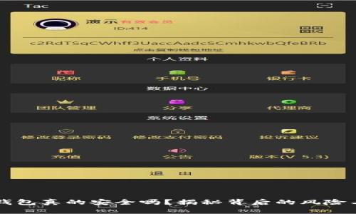  你的数字钱包真的安全吗？揭秘背后的风险与防护措施！