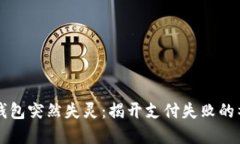 当数字钱包突然失灵：揭开支付失败的神秘面纱