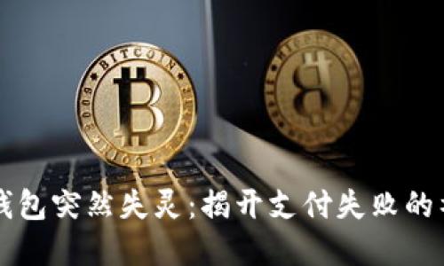 当数字钱包突然失灵：揭开支付失败的神秘面纱