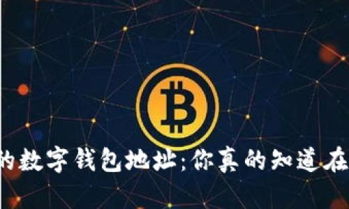 快速定位你的数字钱包地址：你真的知道在哪里查看吗？