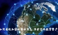 如何有效加密比特币钱包，保护你的数字资产？