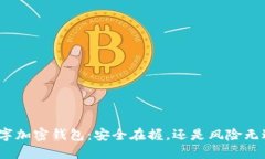 数字加密钱包：安全在握，还是风险无边？