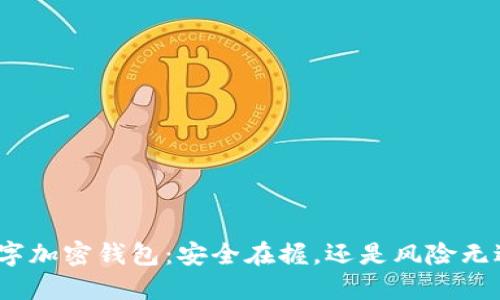数字加密钱包：安全在握，还是风险无边？