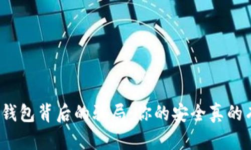 揭开数字钱包背后的骗局：你的安全真的有保障吗？