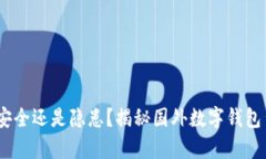数字钱包：安全还是隐患？揭秘国外数字钱包背