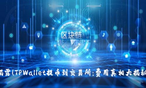 揭露！TPWallet提币到交易所：费用真相大揭秘！