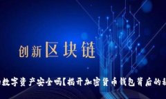 你的数字资产安全吗？揭开加密货币钱包背后的