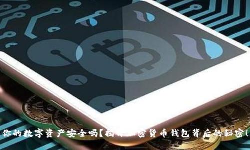 你的数字资产安全吗？揭开加密货币钱包背后的秘密！