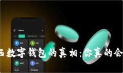 解锁陕西数字钱包的真相：你真的会用它吗？