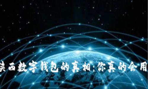 解锁陕西数字钱包的真相：你真的会用它吗？
