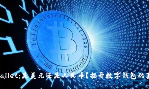 TPWallet：是美元还是人民币？揭开数字钱包的真相！