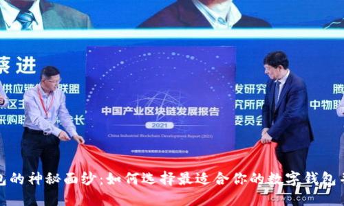 揭开数字优兑钱包的神秘面纱：如何选择最适合你的数字钱包并实现收益最大化