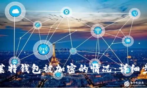 如何解锁莱特钱包被加密的情况：详细步骤与建议