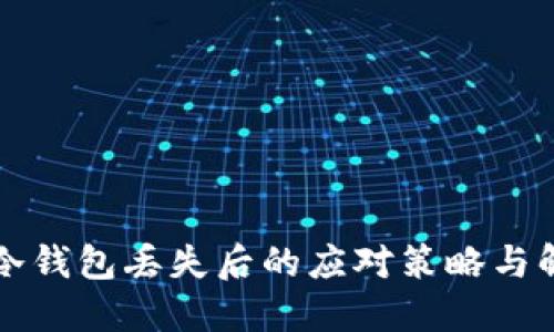 区块链冷钱包丢失后的应对策略与解决方案